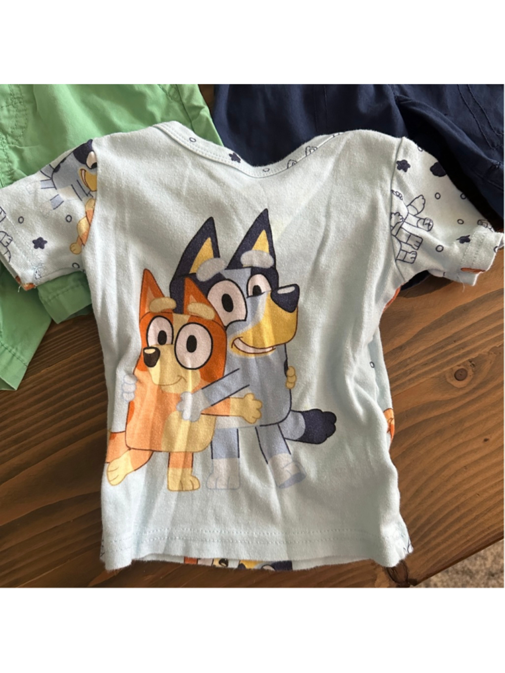 Boys Clothing Lot 2T Bluey Paw Patrol Champion Shirts Shorts 7 Pc - Picture 5 of 16